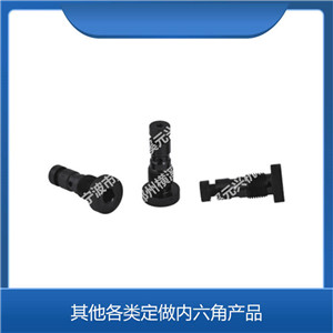 其他各类定做内六角产品